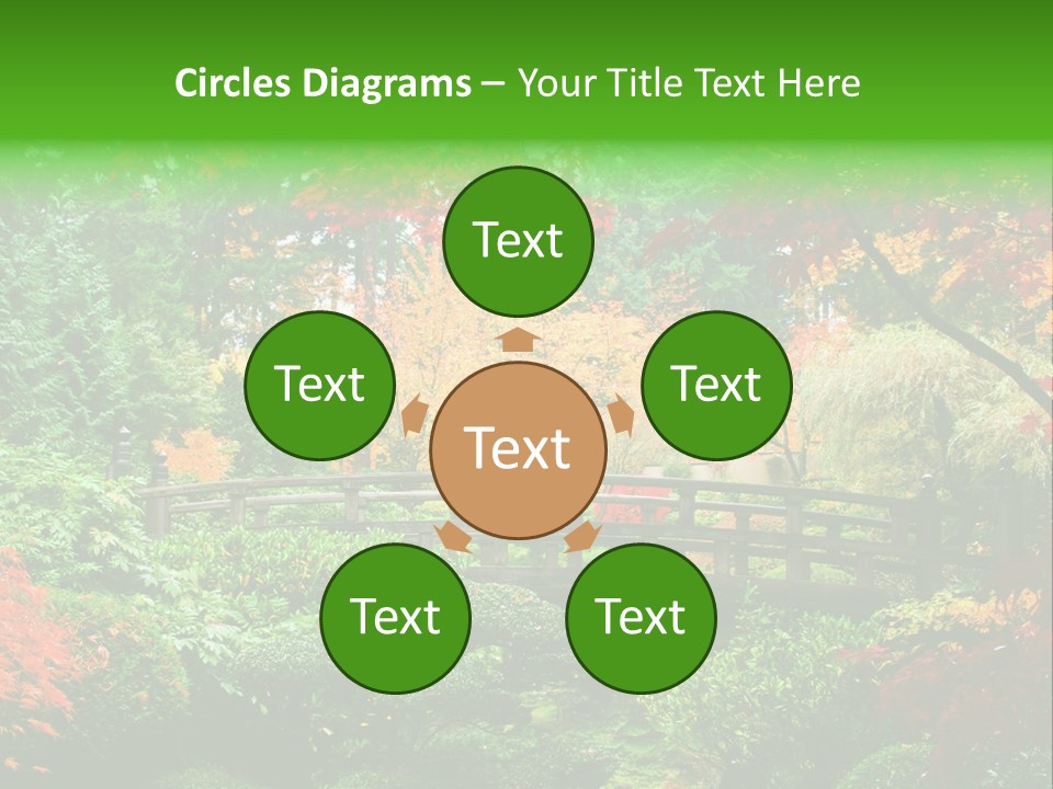 Fall Season PowerPoint Template