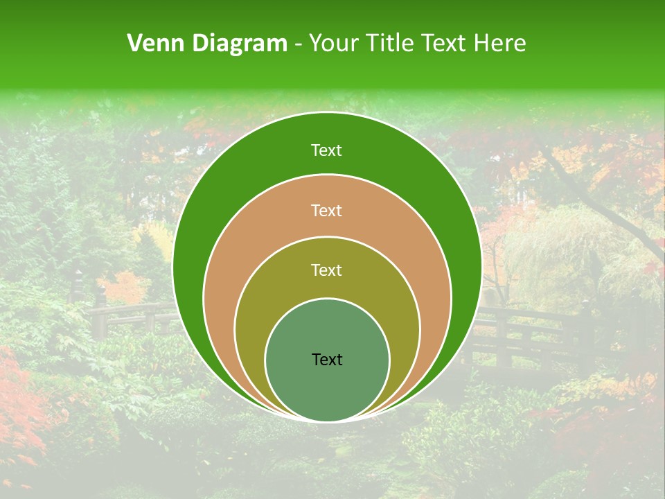 Fall Season PowerPoint Template