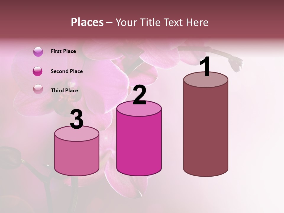 Flower Border Designs PowerPoint Template