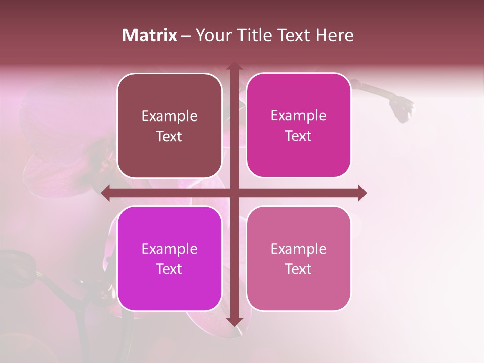 Flower Border Designs PowerPoint Template