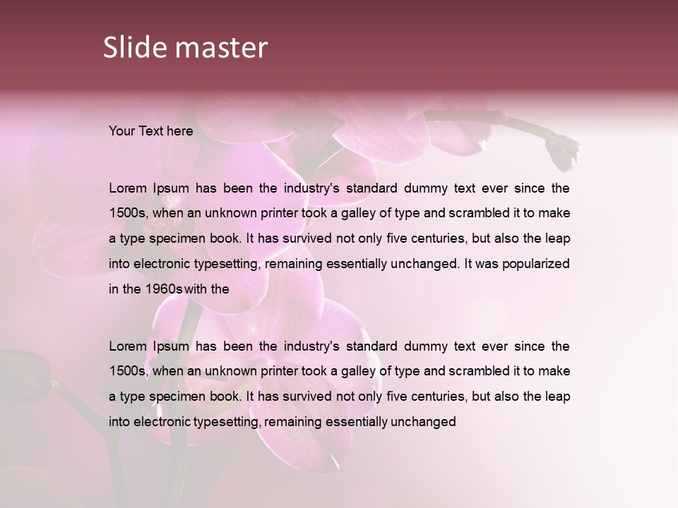 Flower Border Designs PowerPoint Template