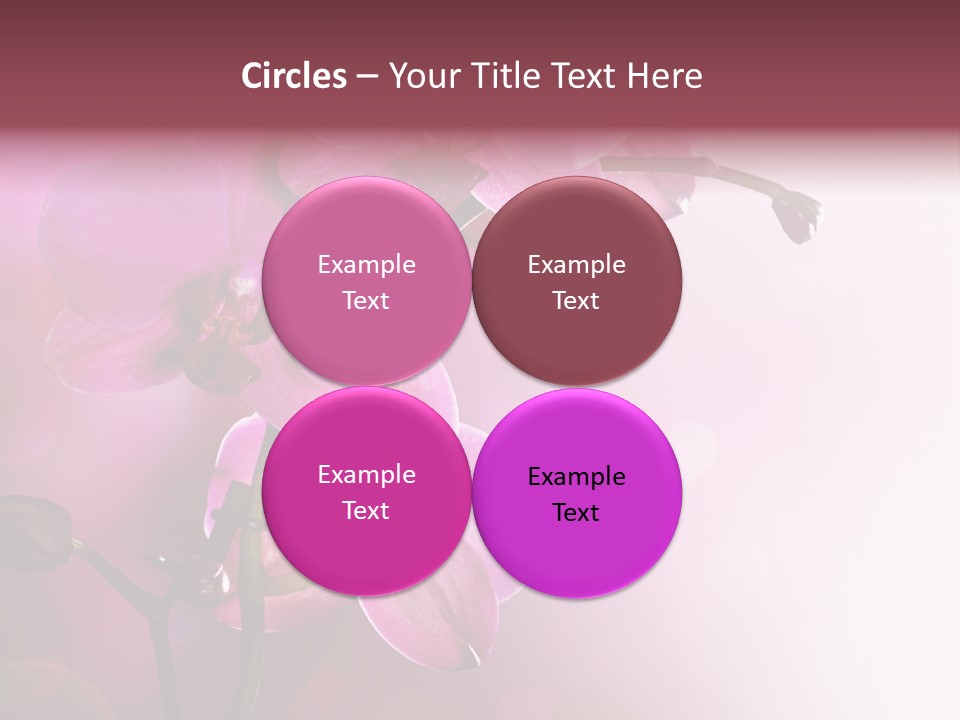 Flower Border Designs PowerPoint Template