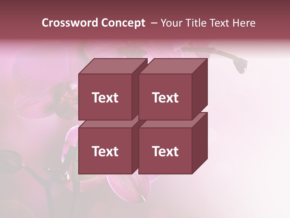 Flower Border Designs PowerPoint Template