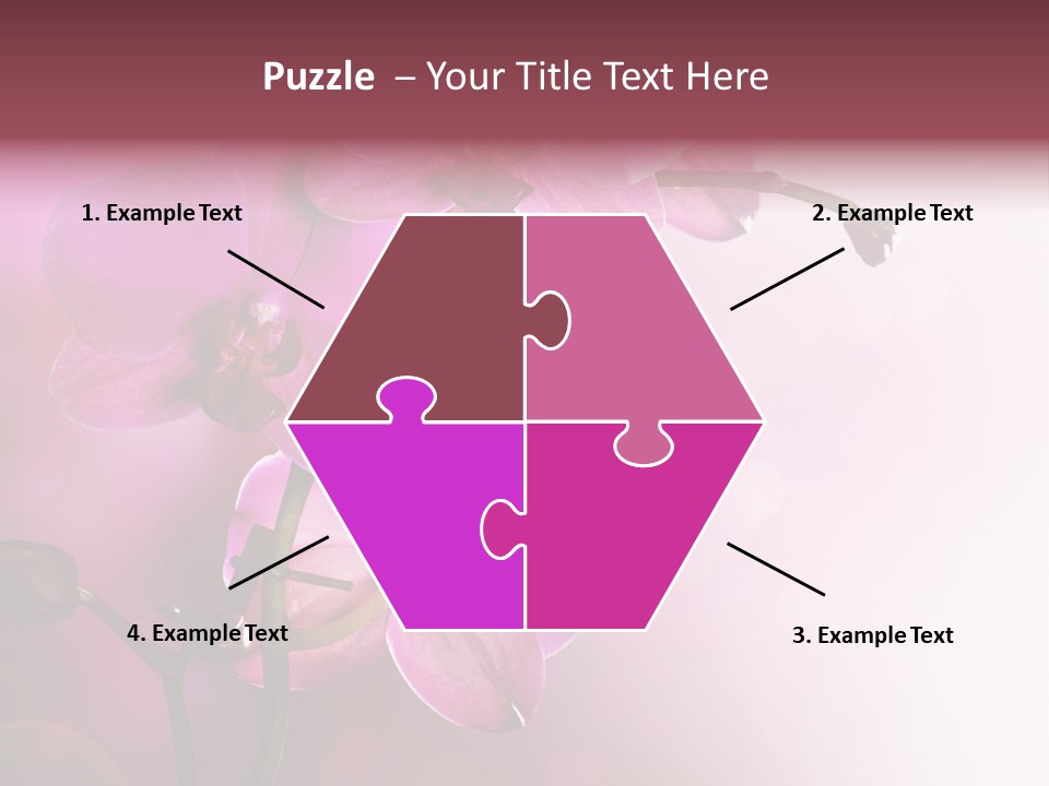 Flower Border Designs PowerPoint Template