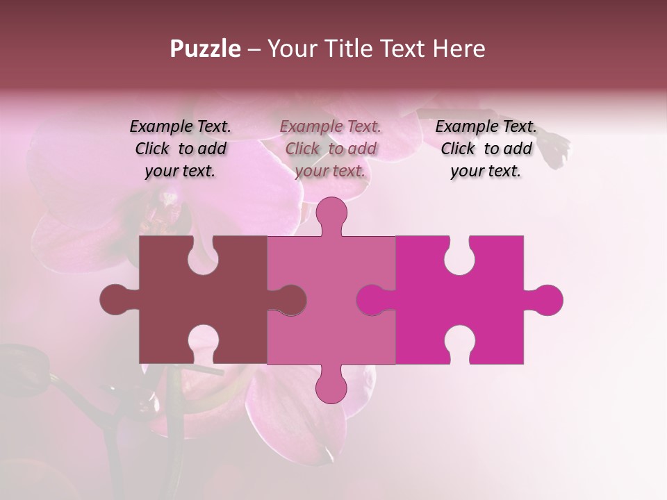 Flower Border Designs PowerPoint Template