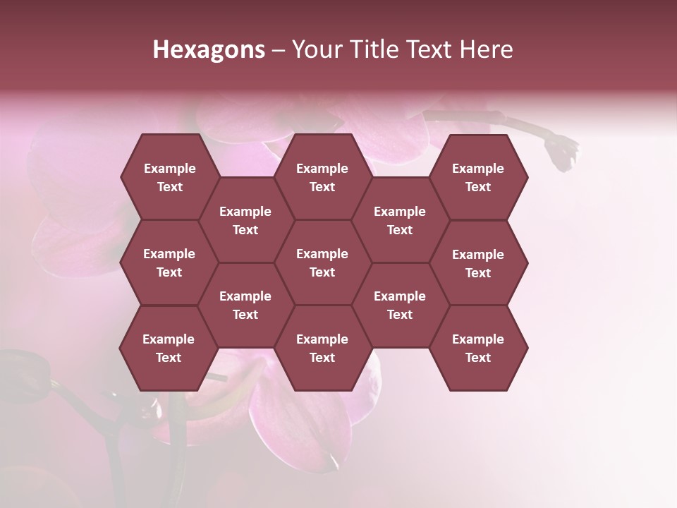 Flower Border Designs PowerPoint Template