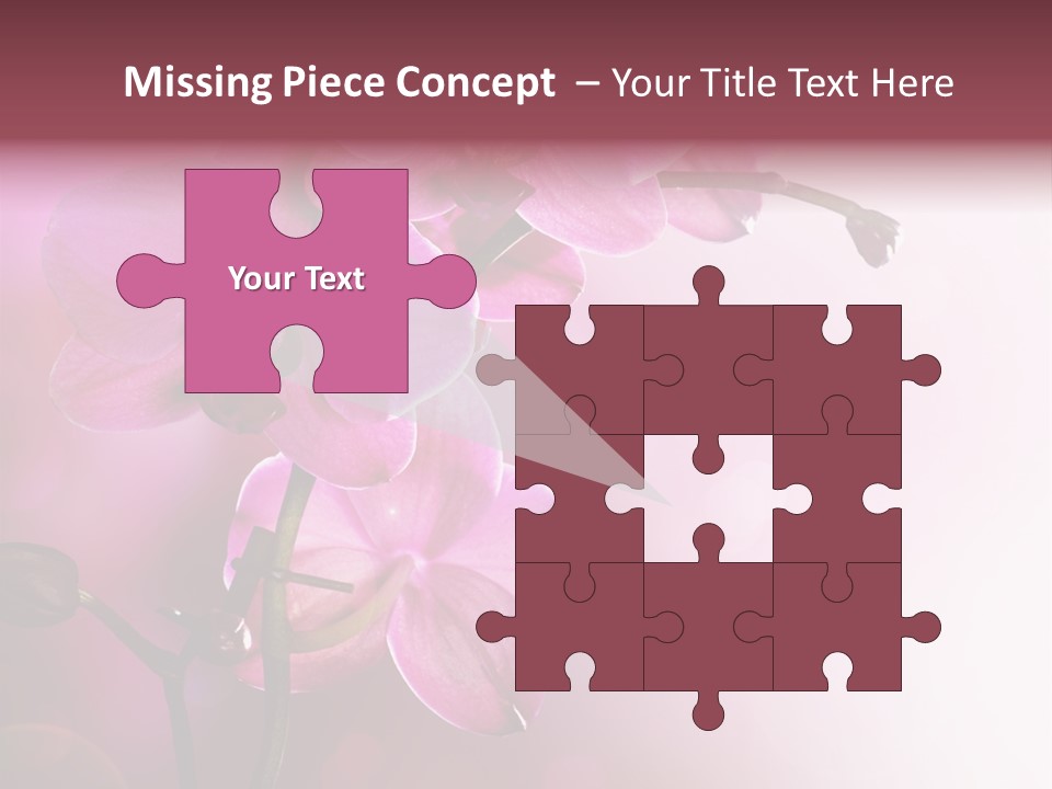 Flower Border Designs PowerPoint Template