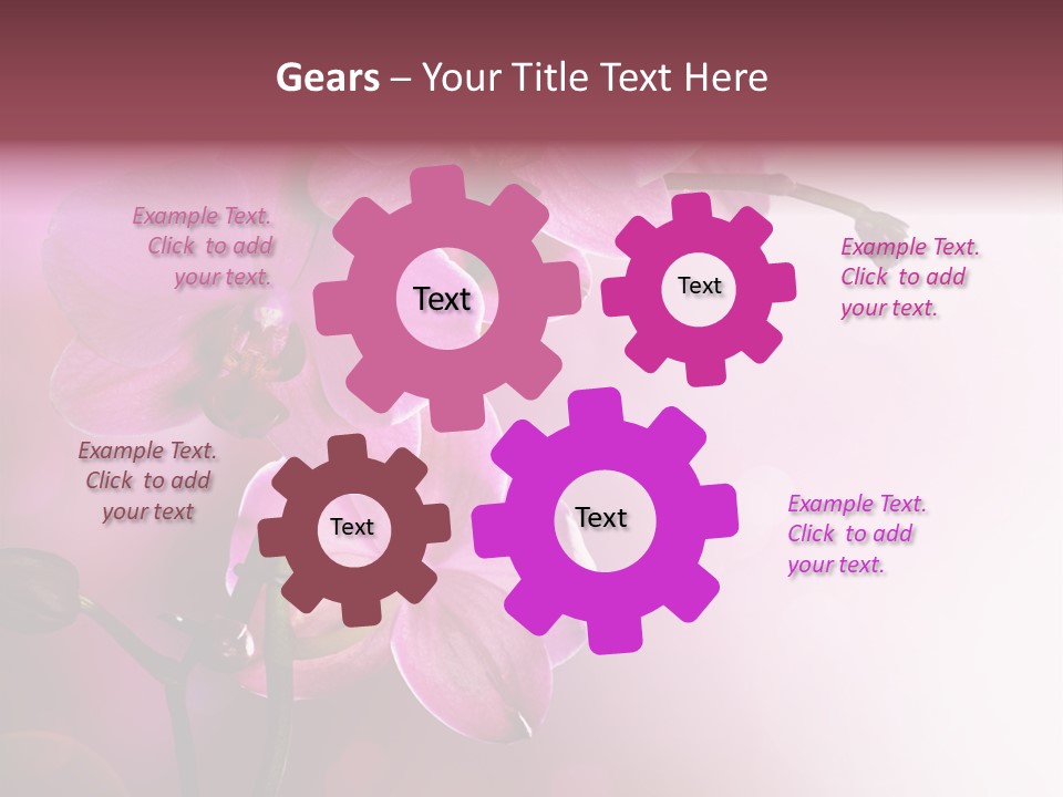 Flower Border Designs PowerPoint Template