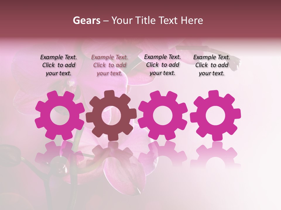 Flower Border Designs PowerPoint Template