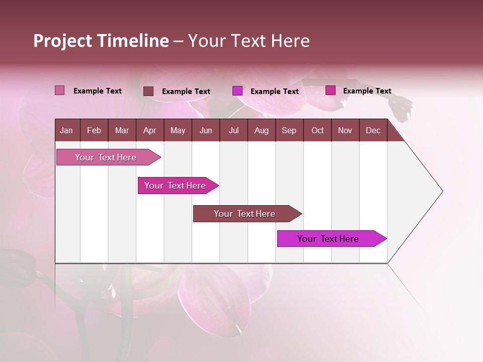 Flower Border Designs PowerPoint Template