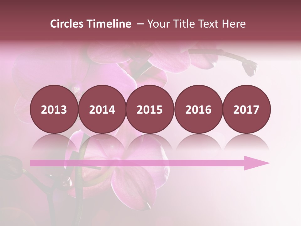 Flower Border Designs PowerPoint Template