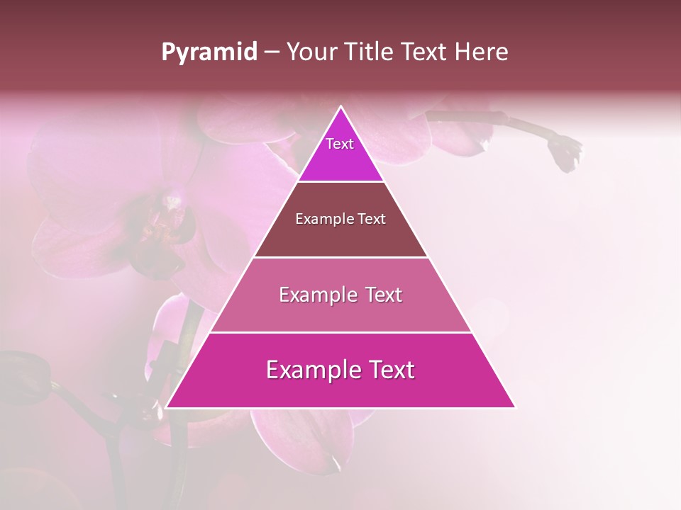 Flower Border Designs PowerPoint Template