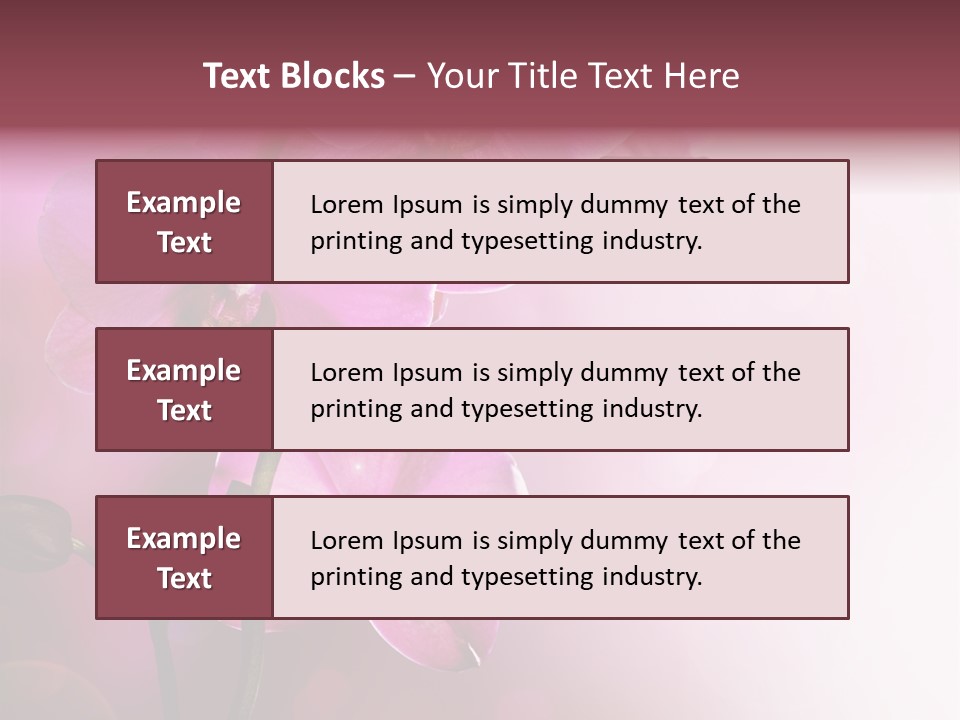 Flower Border Designs PowerPoint Template