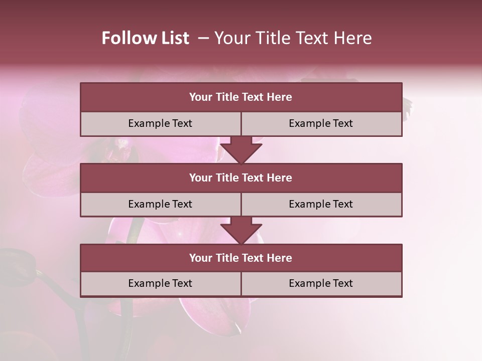 Flower Border Designs PowerPoint Template
