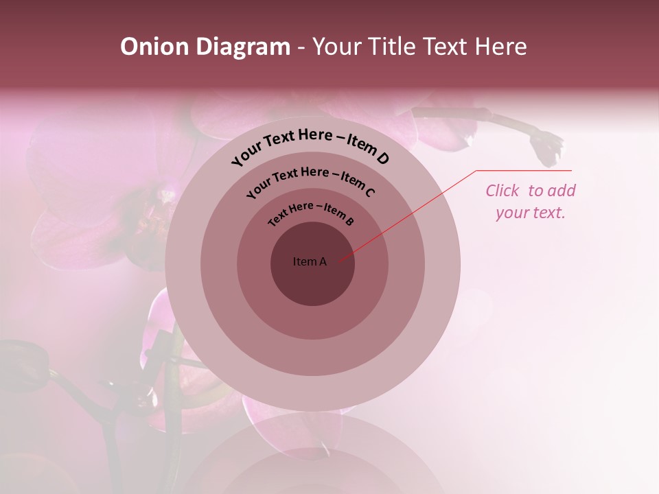 Flower Border Designs PowerPoint Template