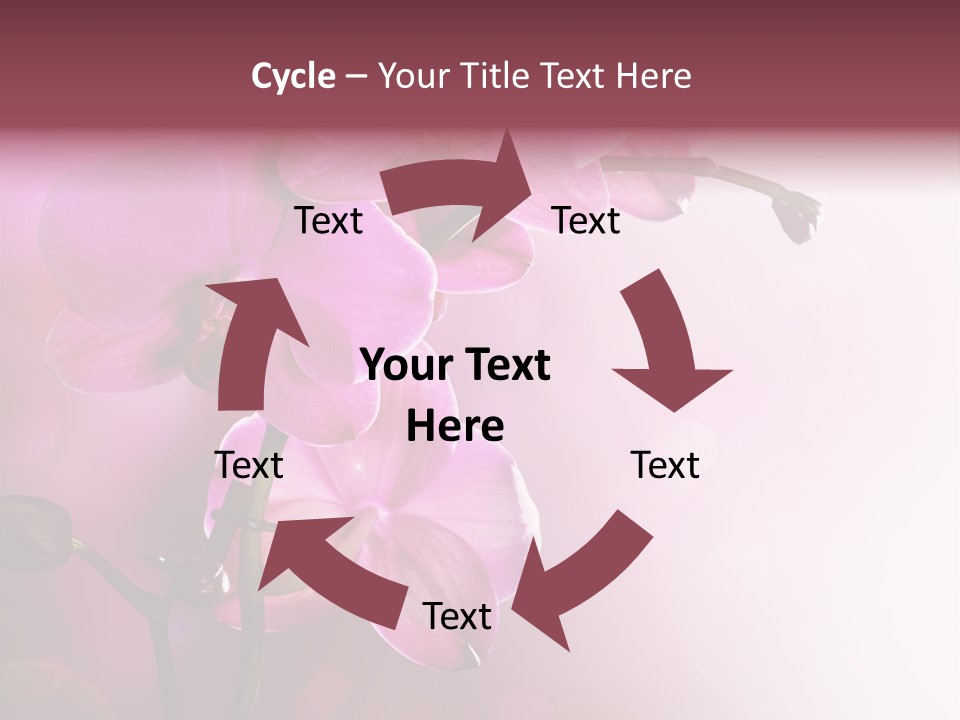 Flower Border Designs PowerPoint Template