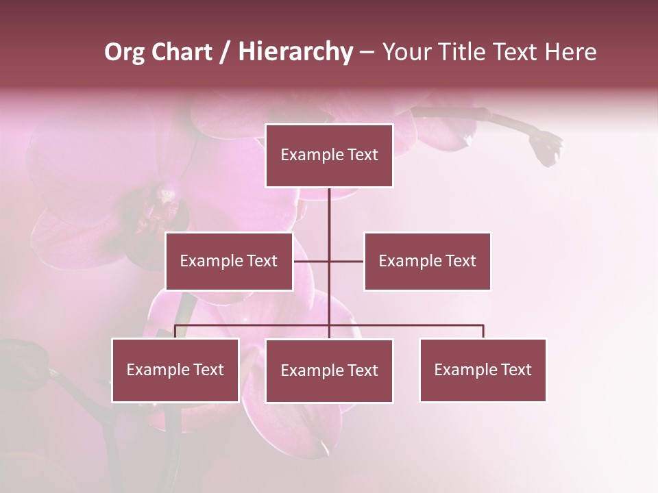 Flower Border Designs PowerPoint Template