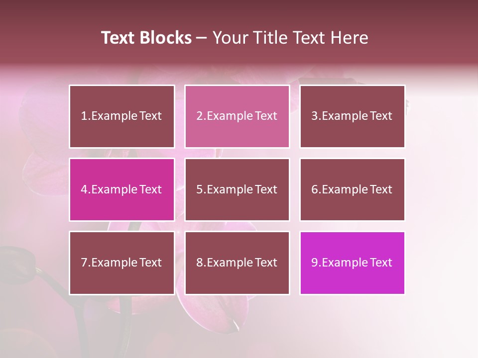 Flower Border Designs PowerPoint Template