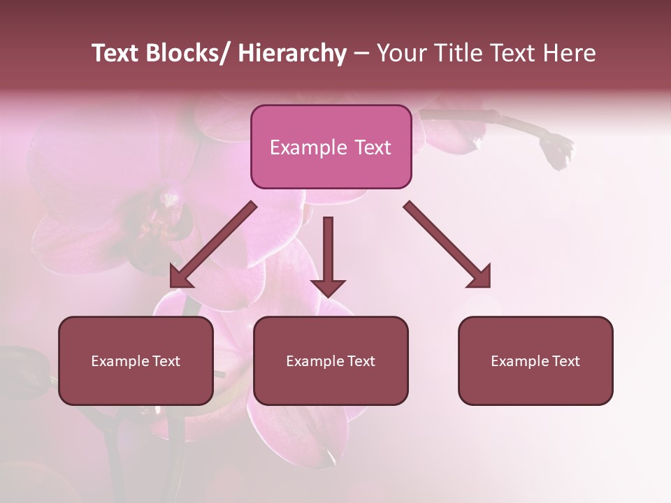 Flower Border Designs PowerPoint Template