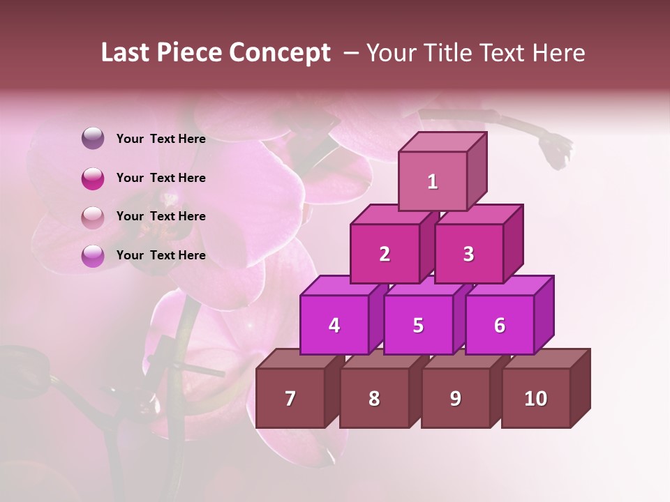 Flower Border Designs PowerPoint Template