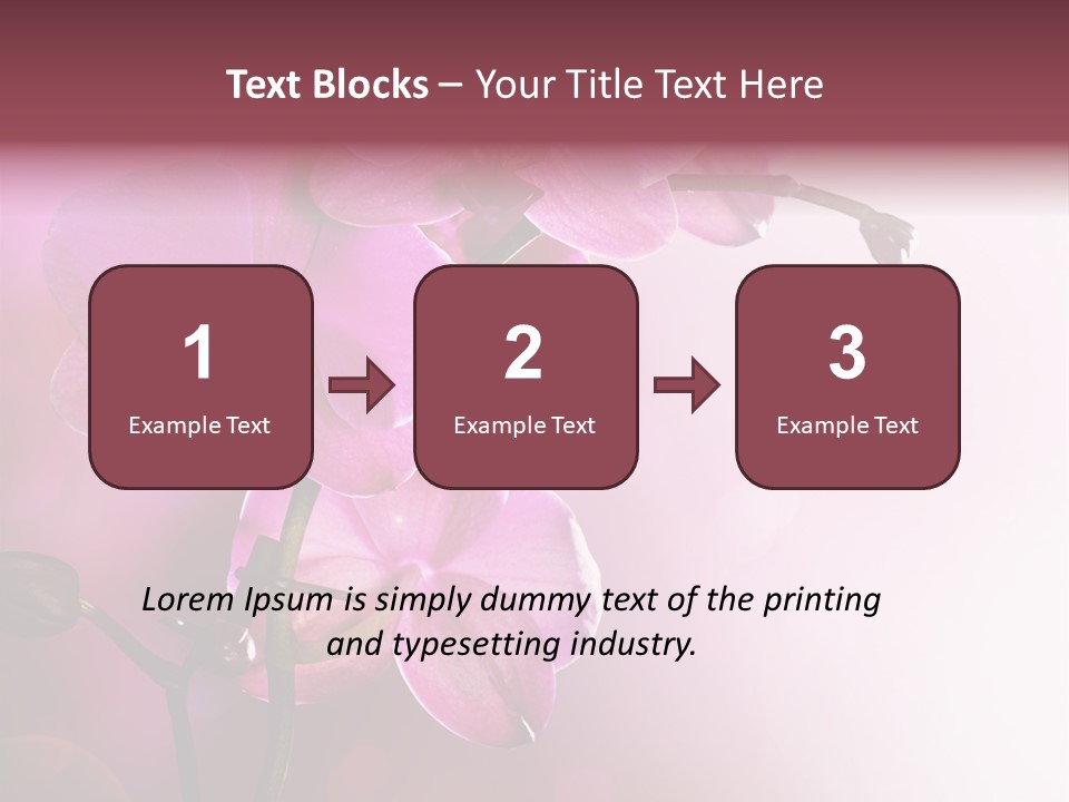Flower Border Designs PowerPoint Template