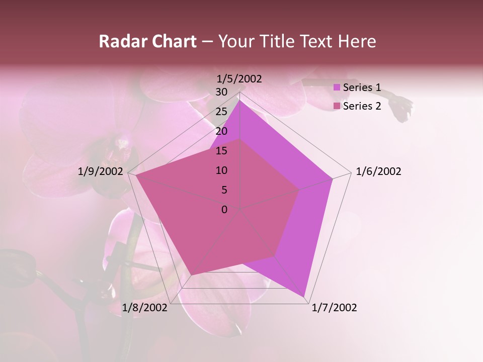 Flower Border Designs PowerPoint Template