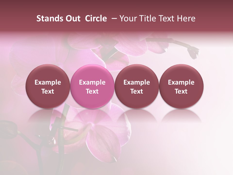 Flower Border Designs PowerPoint Template