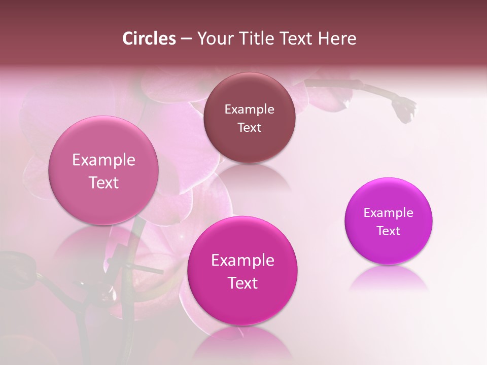 Flower Border Designs PowerPoint Template