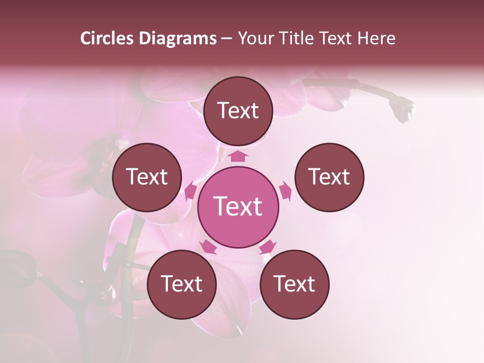 Flower Border Designs PowerPoint Template