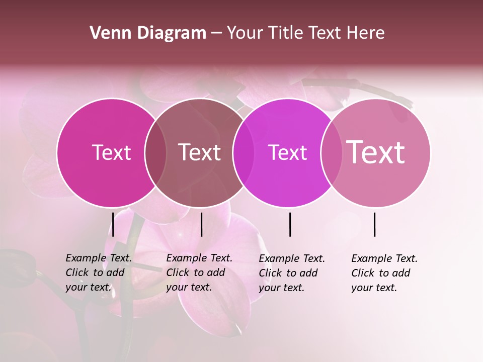 Flower Border Designs PowerPoint Template