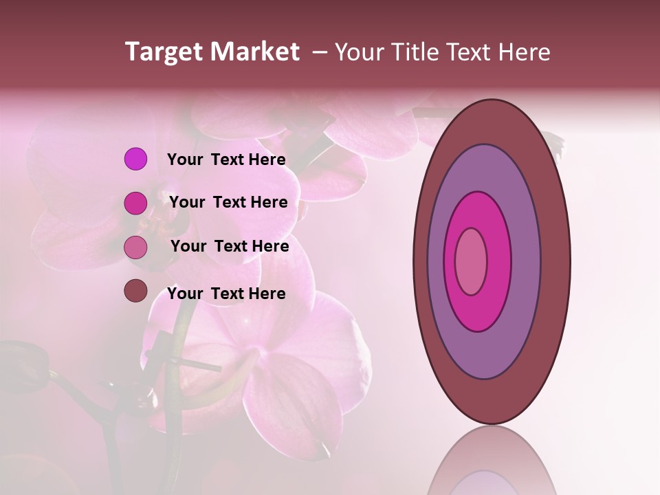 Flower Border Designs PowerPoint Template