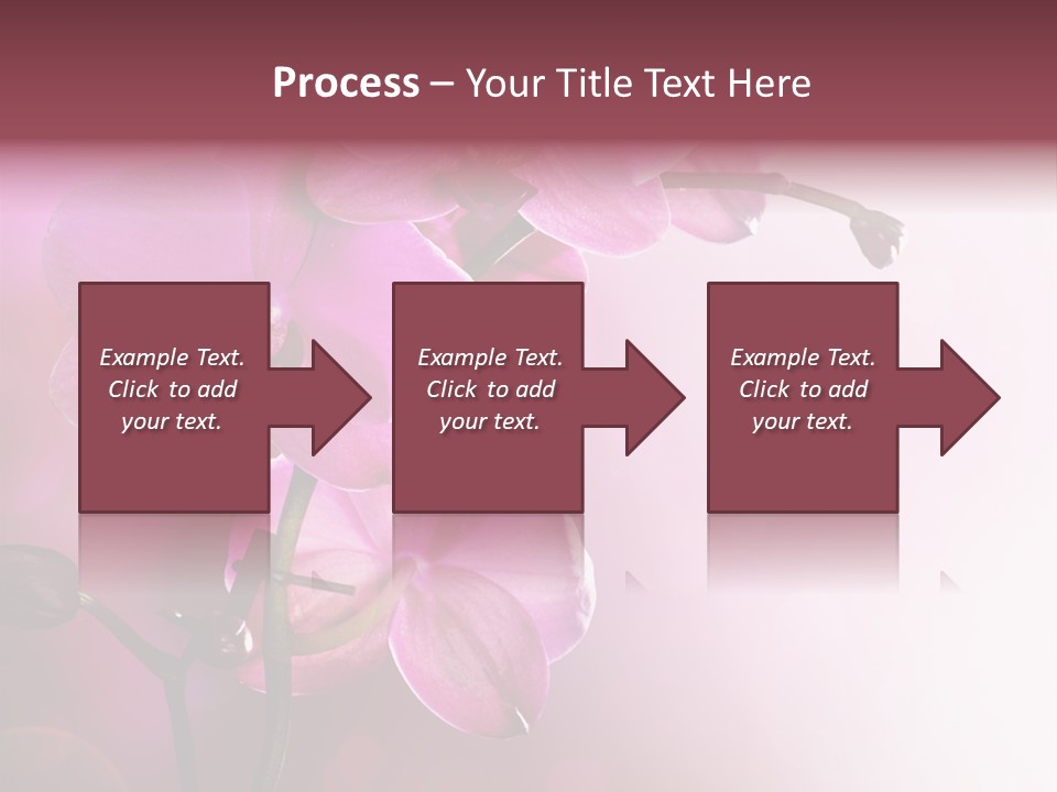Flower Border Designs PowerPoint Template