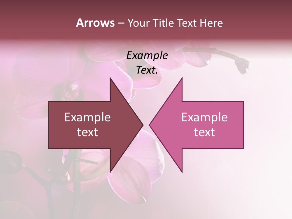 Flower Border Designs PowerPoint Template