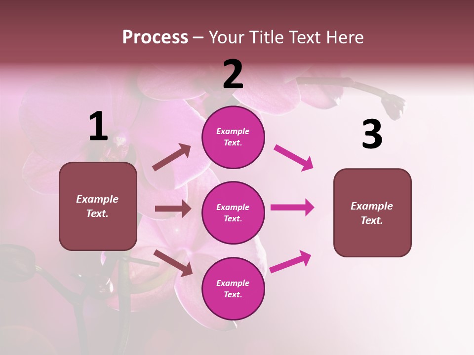 Flower Border Designs PowerPoint Template