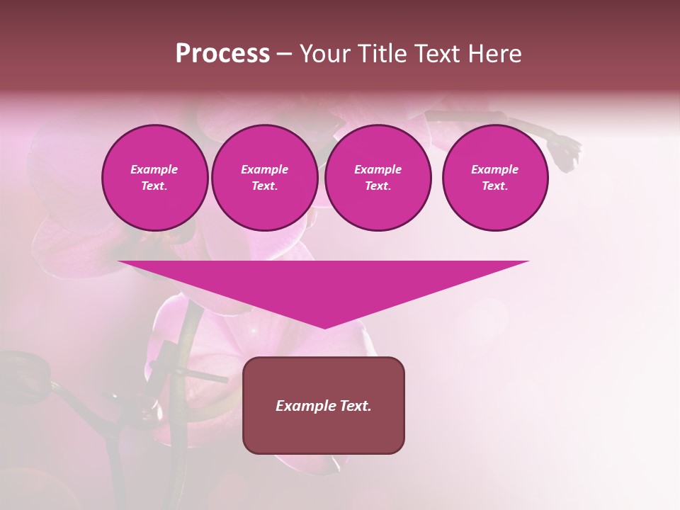 Flower Border Designs PowerPoint Template