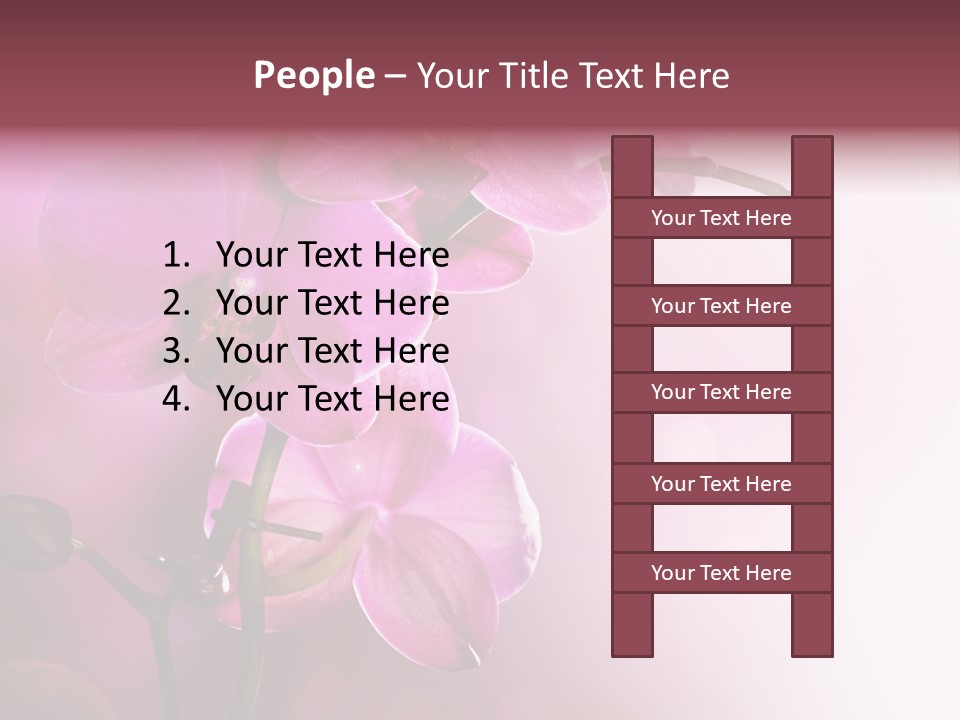 Flower Border Designs PowerPoint Template