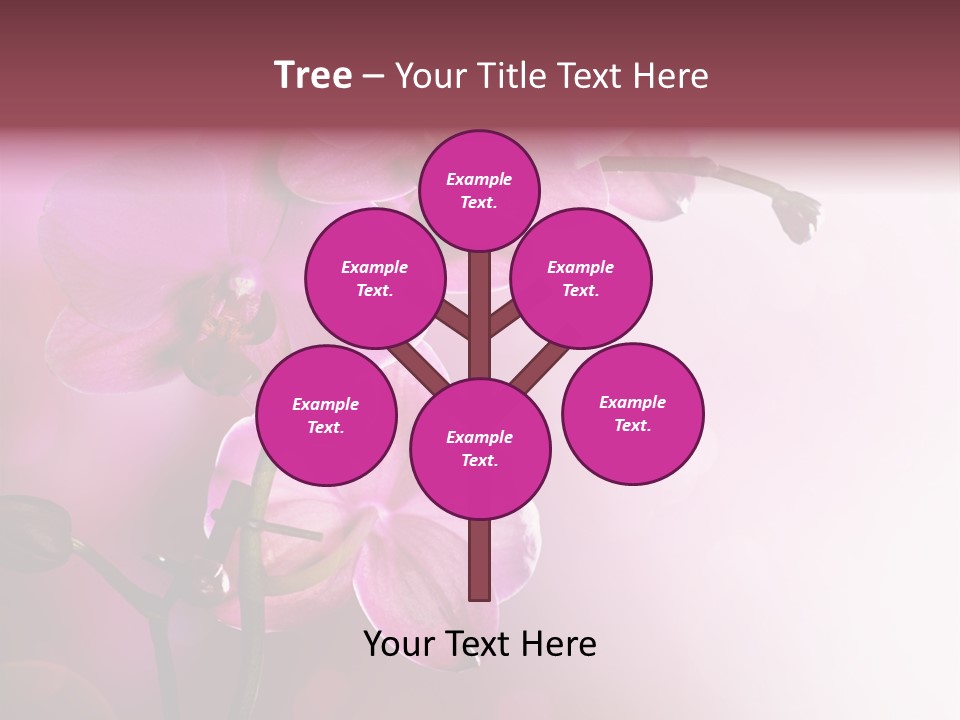 Flower Border Designs PowerPoint Template