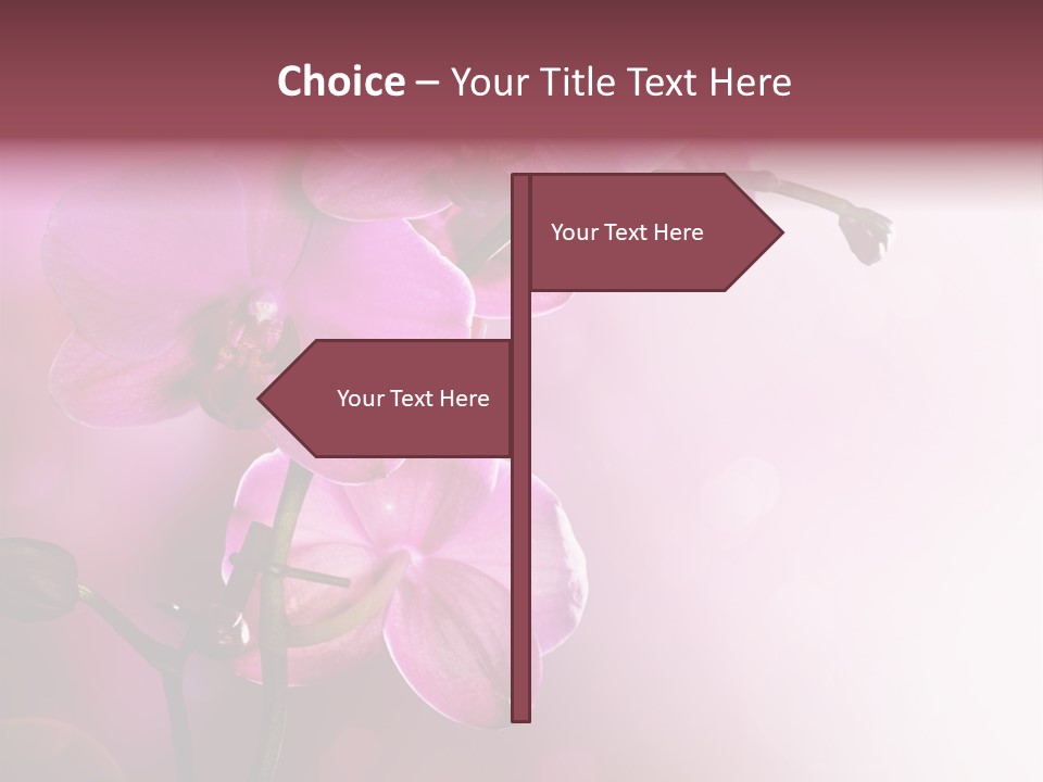 Flower Border Designs PowerPoint Template