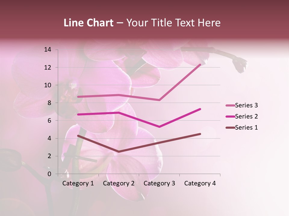 Flower Border Designs PowerPoint Template