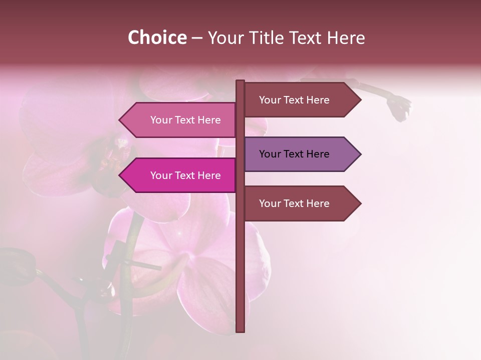 Flower Border Designs PowerPoint Template