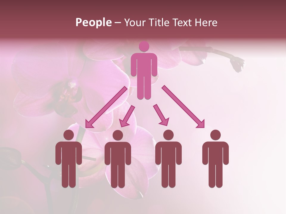 Flower Border Designs PowerPoint Template