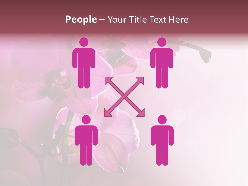 Flower Border Designs PowerPoint Template