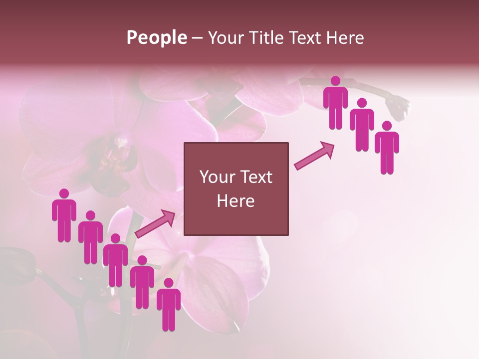 Flower Border Designs PowerPoint Template