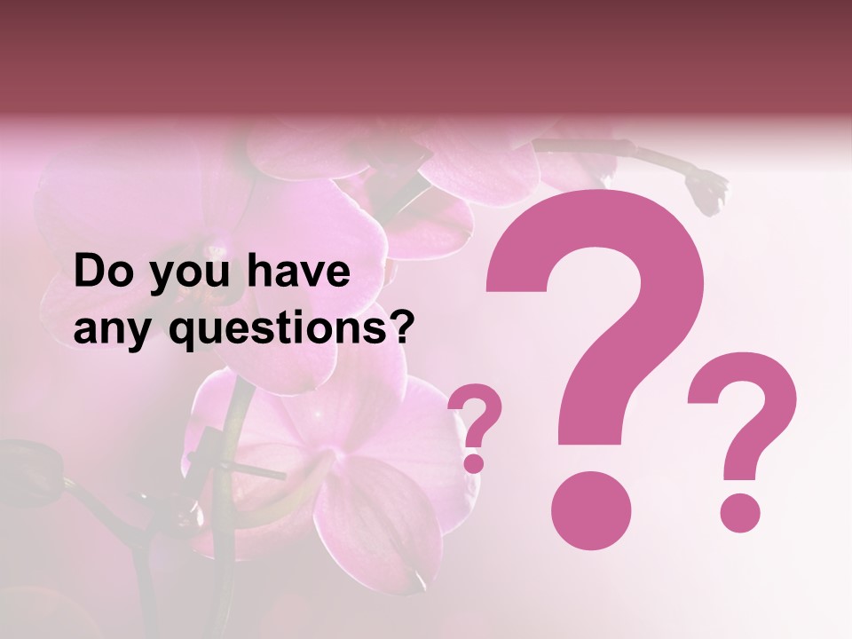 Flower Border Designs PowerPoint Template