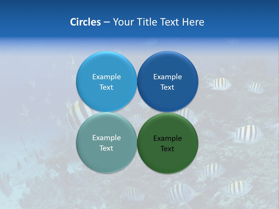 Sergeant Water Holiday PowerPoint Template