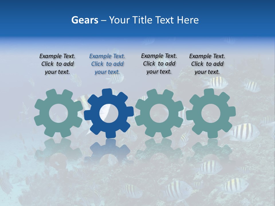 Sergeant Water Holiday PowerPoint Template