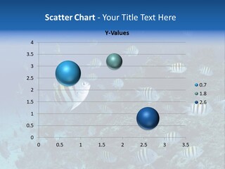 Sergeant Water Holiday PowerPoint Template