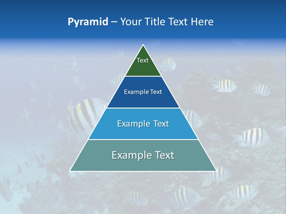 Sergeant Water Holiday PowerPoint Template