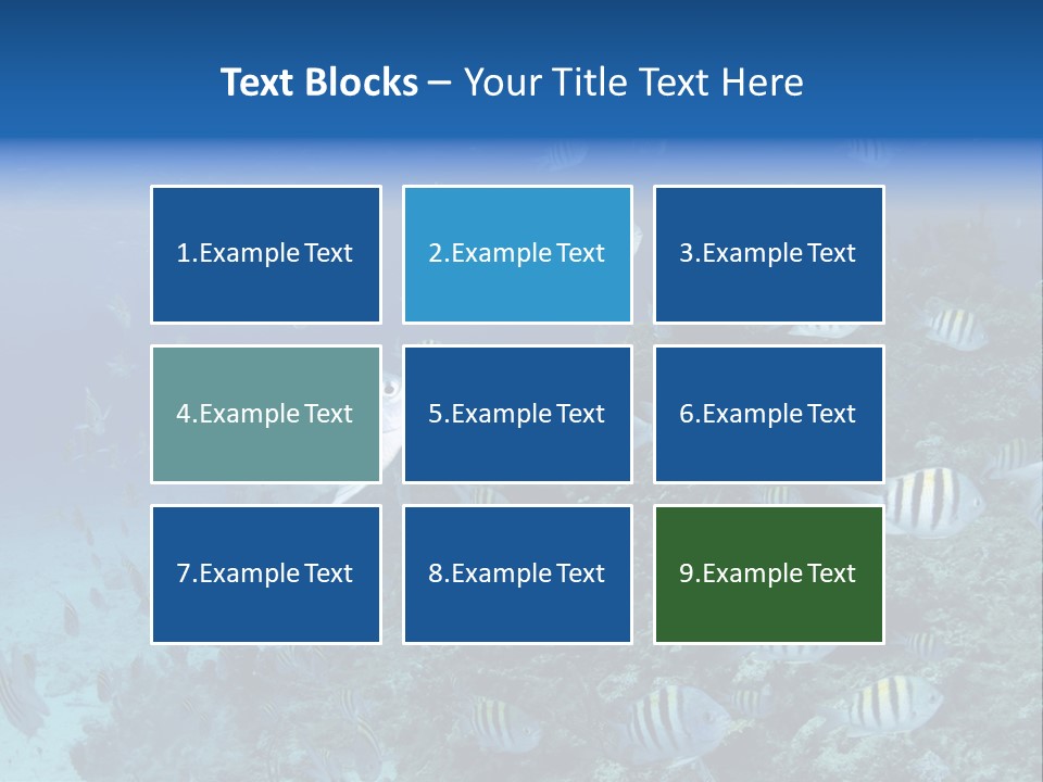 Sergeant Water Holiday PowerPoint Template