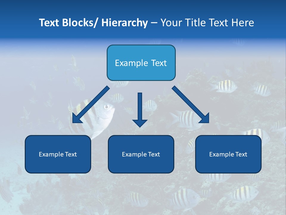 Sergeant Water Holiday PowerPoint Template